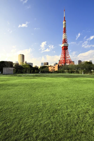 Vista sul centro città con Tokyo Tower - situato a Shiba Park, Minato, Tokyo, Giappone — Foto Stock