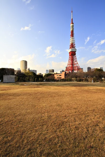 Токійська вежа — стокове фото
