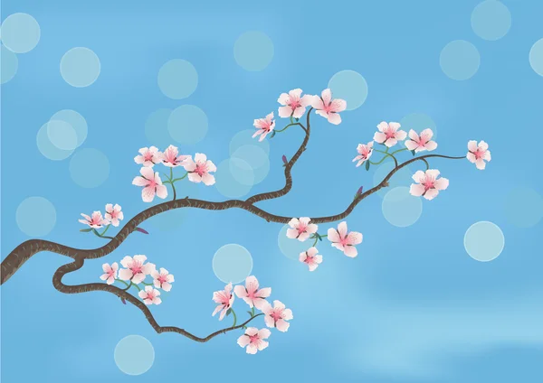 Sakura con flores —  Fotos de Stock