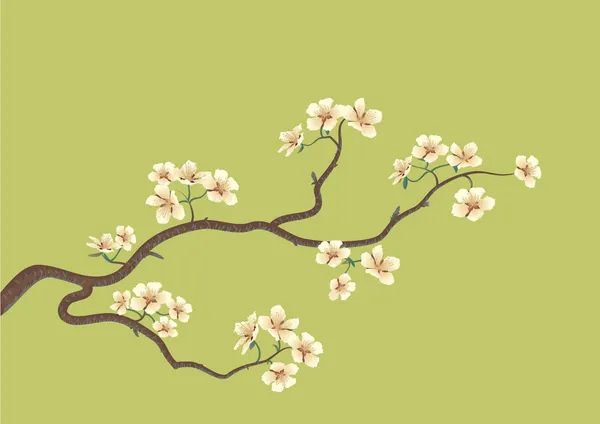 Sakura con flores —  Fotos de Stock