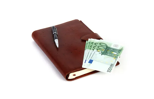 Persoonlijke organizer met pen en euro — Stockfoto