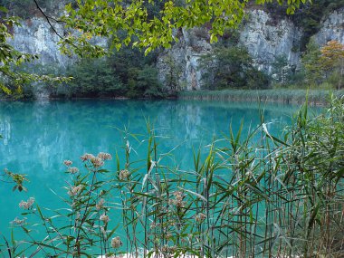 ahşap lake.