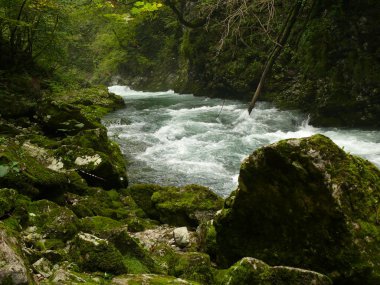 Dağ nehri.