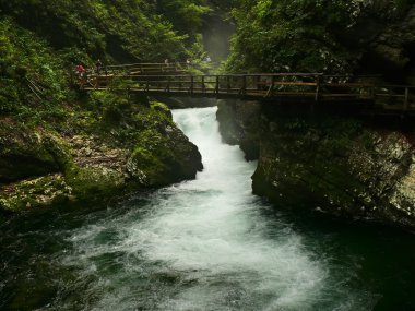 Dağ nehri.