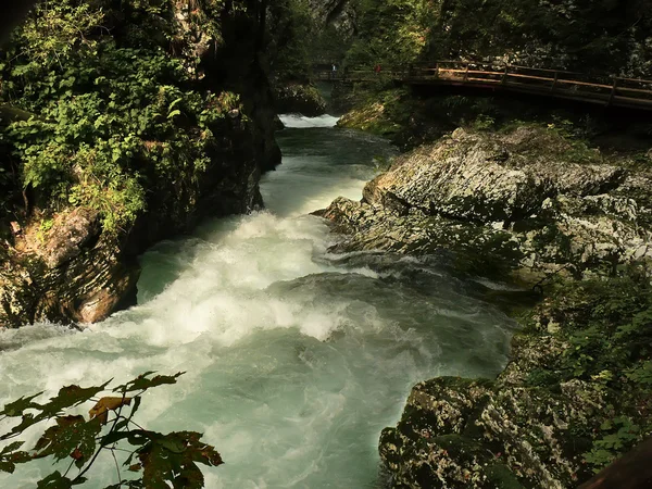 Mountain river. — Stock Photo, Image