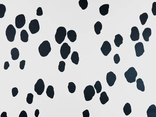 Dalmatian — Stock Photo, Image