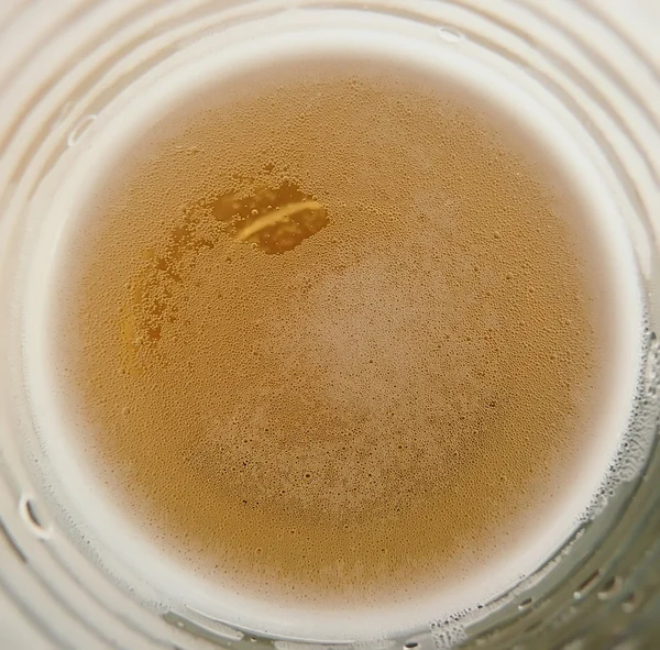 Пиво — стоковое фото