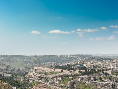 View of Jerusalem clipart