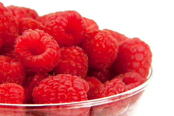 stock image Raspberry Close Up