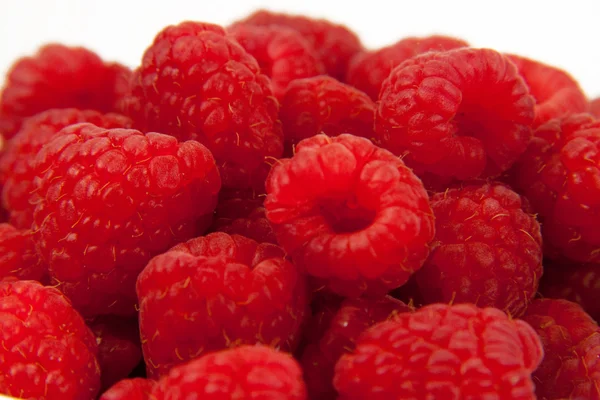 stock image Raspberry Close Up