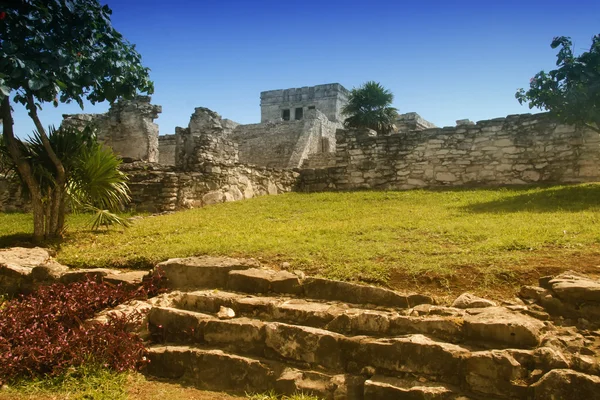 Maya ruïnes — Stockfoto