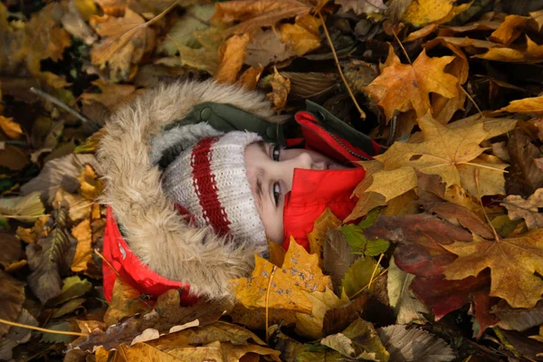 Chica feliz acostada en hojas de otoño Fotos de stock libres de derechos
