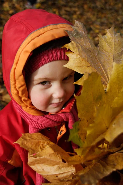 秋の紅葉と幸せな女の子 ストック画像