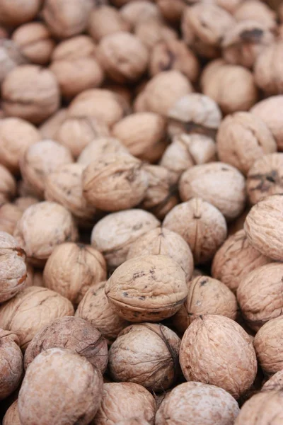 stock image Circassian walnuts.