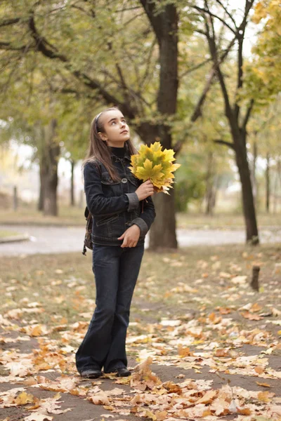 Menina e folhas amarelas no outono — Fotografia de Stock
