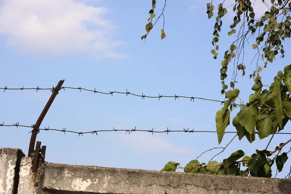 stock image Barbed wire over blue sky