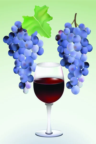 Uvas vectoras e vinho . — Vetor de Stock