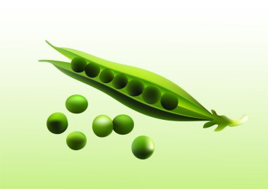 Pea. clipart