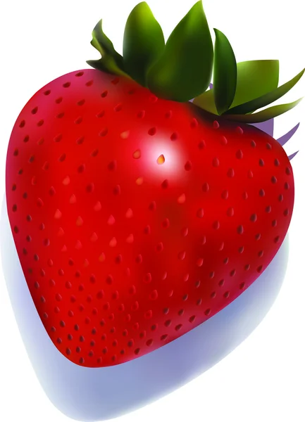 stock vector Strawberry