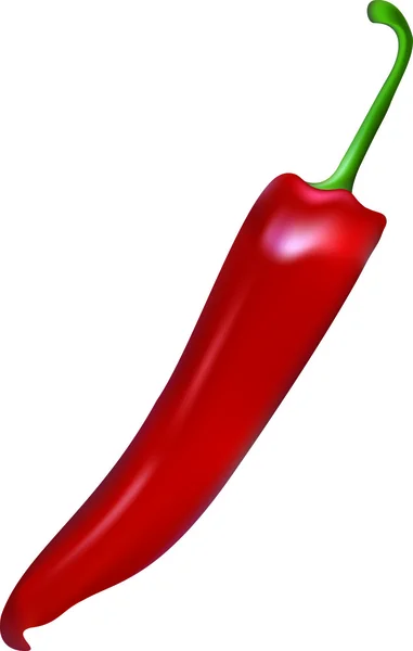 Rødt pepper . – stockvektor