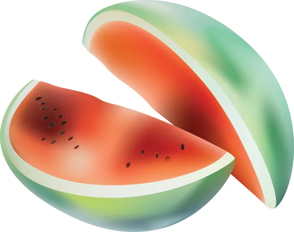 Vector watermeloen. — Stockvector