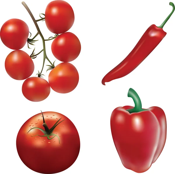 矢量西红柿和辣椒. — 图库矢量图片