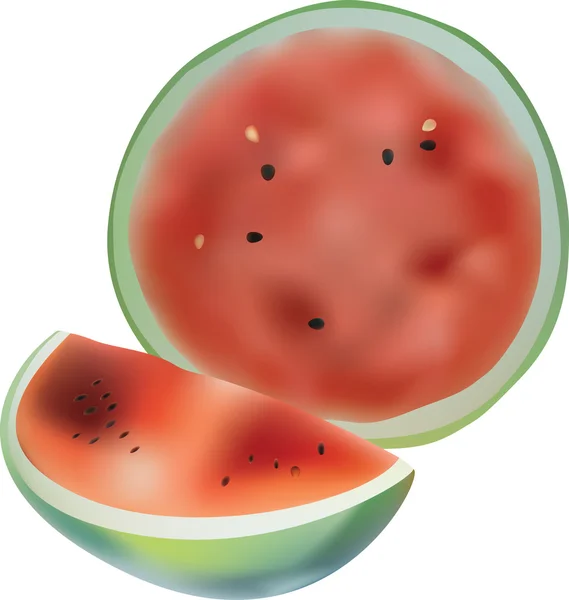 Wassermelonen. — Stockvektor