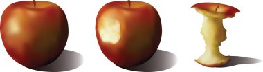 Three apples clipart