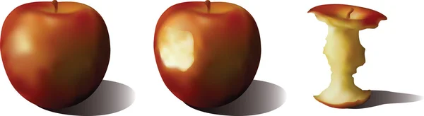Tre äpplen — Stock vektor