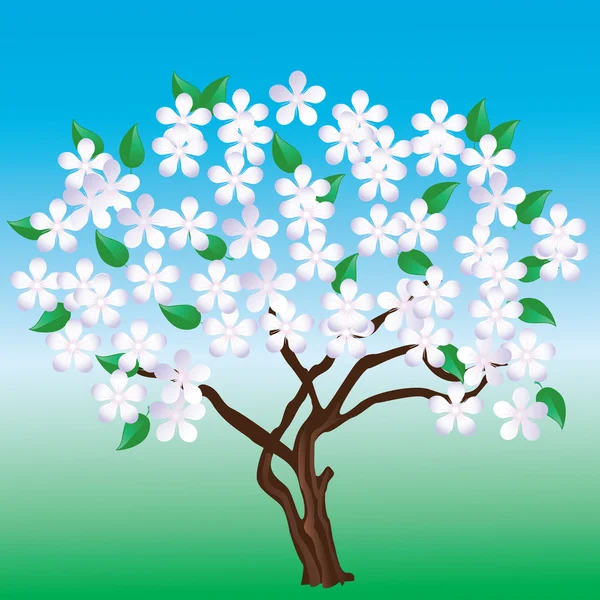 Un arbre à fleurs . — Image vectorielle
