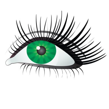 Woman eye clipart