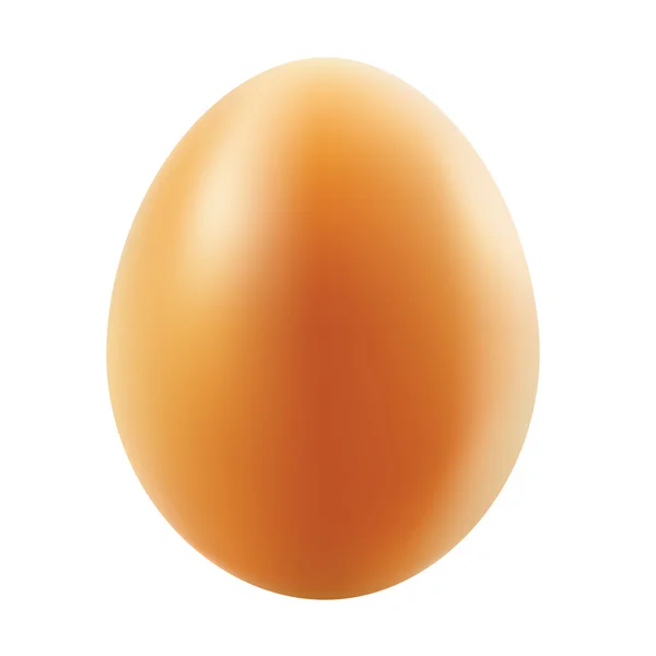 Huevo vectorial . — Vector de stock