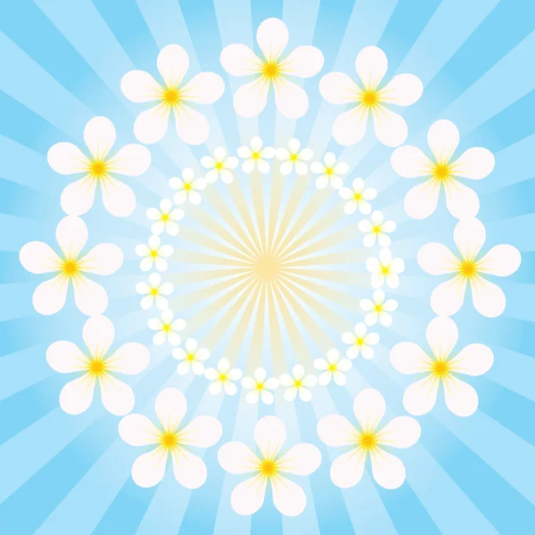 Fleurs sur le rayonnement de fond — Image vectorielle