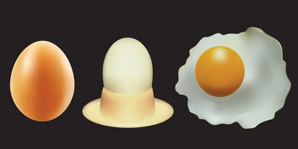 Egg. — Stock Vector