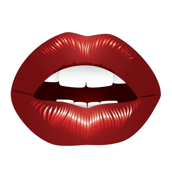 女性的嘴唇 — 图库矢量图片
