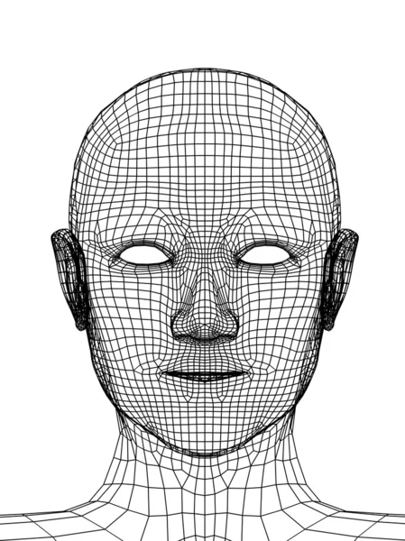 3D Grid 'den Kişinin Başı — Stok fotoğraf