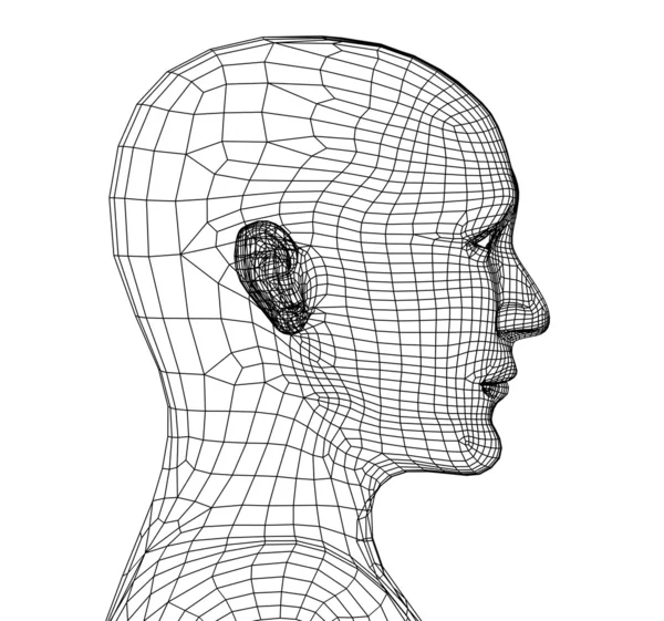 3D Grid 'den Kişinin Başı — Stok fotoğraf