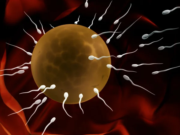 Spermatozoi, da galleggianti a ovuli — Foto Stock