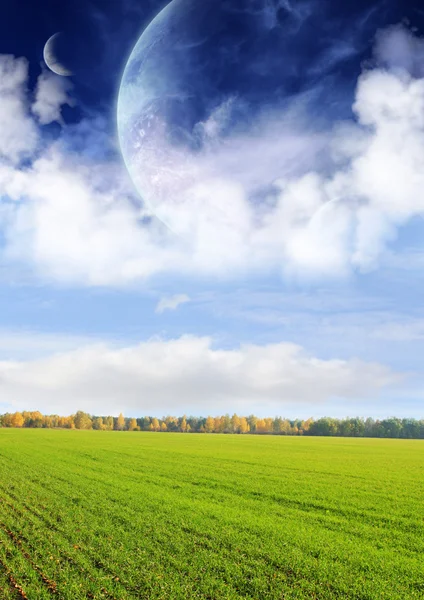 Fields of a far planet — Stock Photo, Image