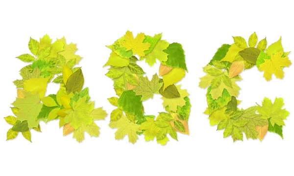 Abeceda - písmena s zelené listy — Stock fotografie