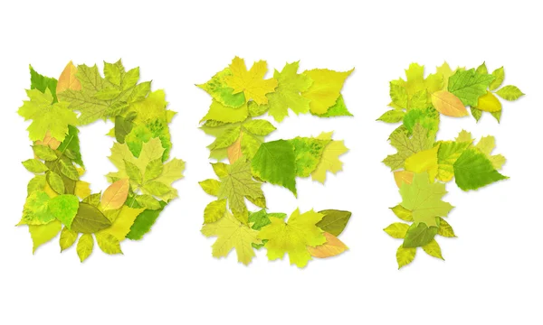 Alfabeto - letras com umas folhas verdes — Fotografia de Stock