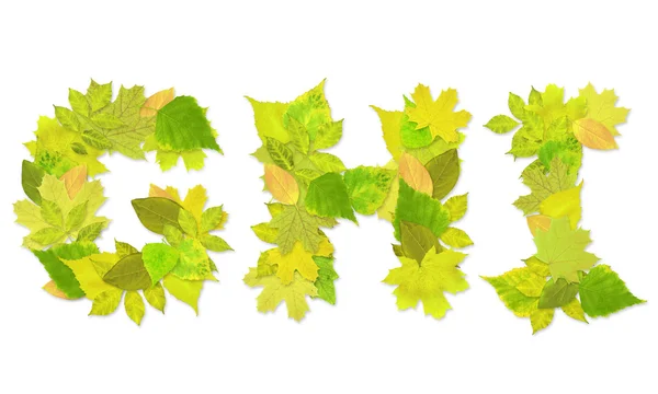 Alfabet - litery z zielonych liści — Zdjęcie stockowe