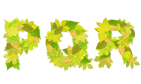 Alphabet - letters with a green leaves — Stock Photo, Image