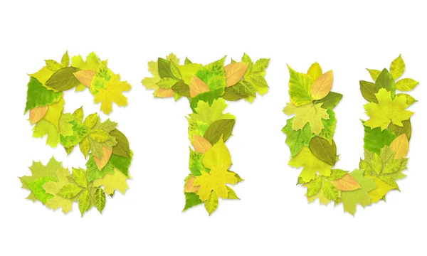 Алфавит - буквы с зелеными листьями — стоковое фото