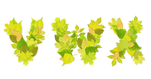 Bir yeşil harflerle alfabeyi - yaprakları — Stok fotoğraf