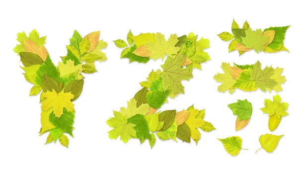 Алфавит - буквы с зелеными листьями — стоковое фото