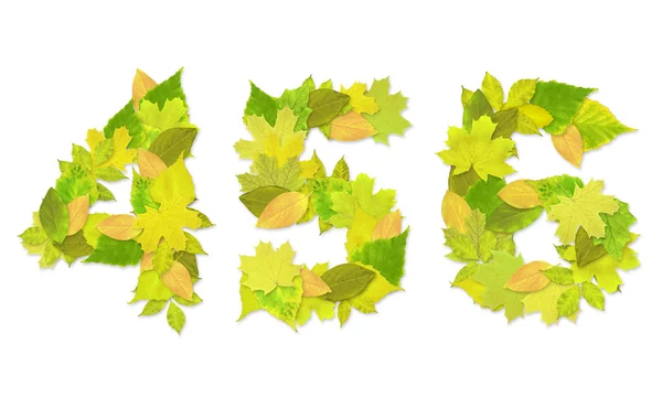Числа с зелеными листьями — стоковое фото
