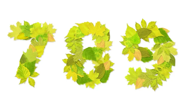 Números com folhas verdes — Fotografia de Stock