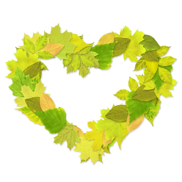 Heart from green leaves — Stock Photo, Image