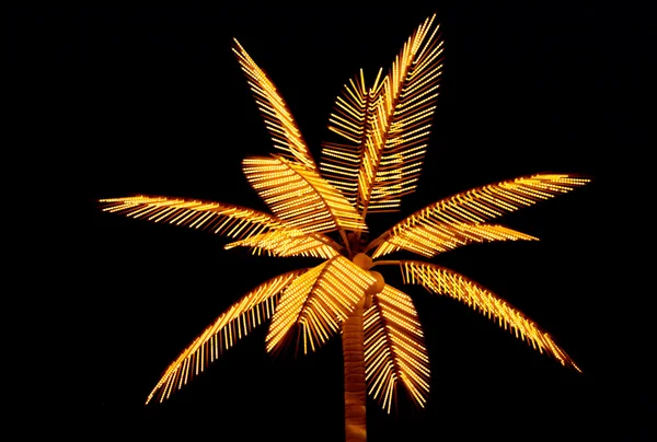 Gold Palm Frond Stock Photos and Pictures - 2,049 Images
